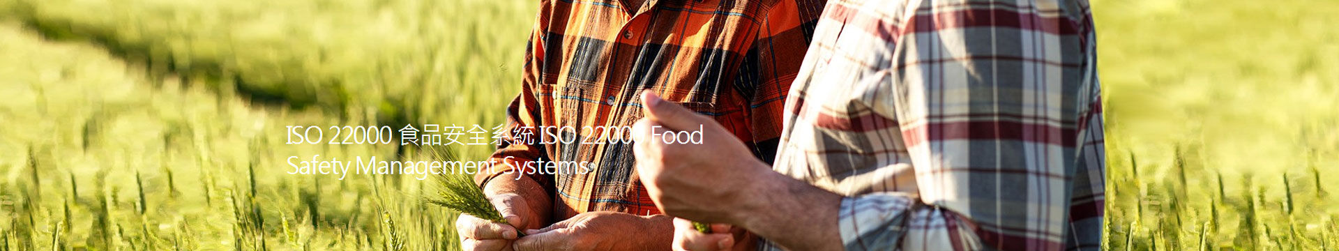 iso22000食品安全管理體系認(rèn)證咨詢及輔導(dǎo)培訓(xùn)