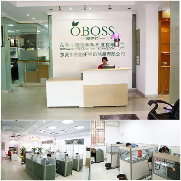 東莞市**照明科技有限公司ISO9001認證+輔導