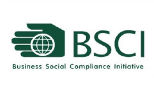 BSCI價格