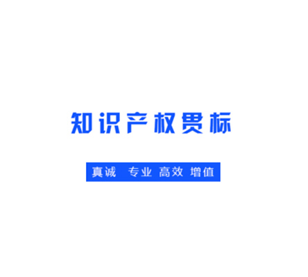 GB/T29490管理體系