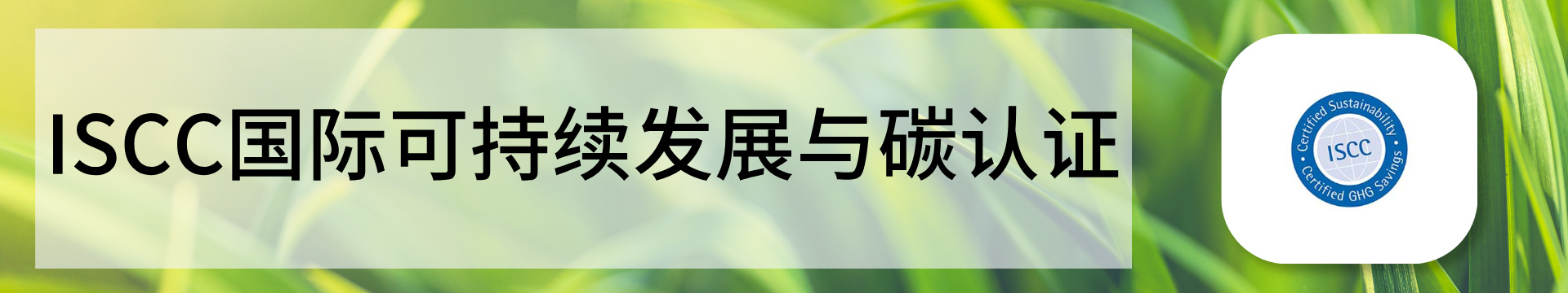 ISCC認(rèn)證